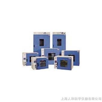 一恒鼓风干燥箱DHG-9030A（101-0）